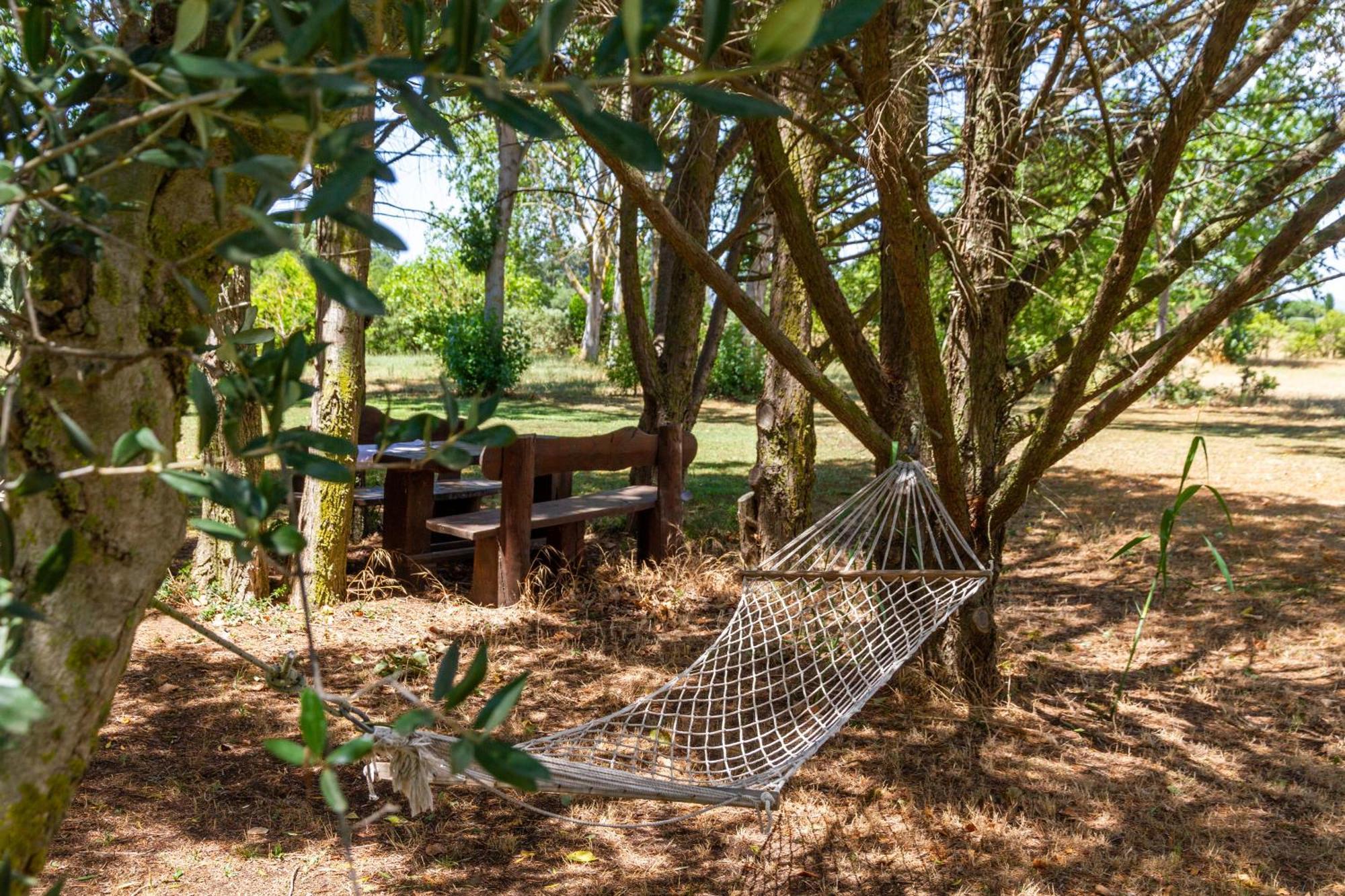 Villa Trilo Dalia à Marina di Grosseto Extérieur photo